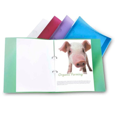 Classeurs à anneaux ECO A4 (lot/10) - couleurs assorties
