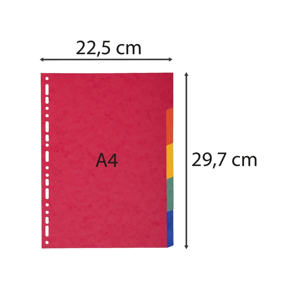 Intercalaires A4 en carton épais - 5 positions