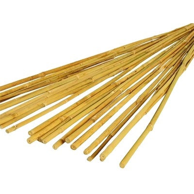 Bâtons en bambou (lot/20)