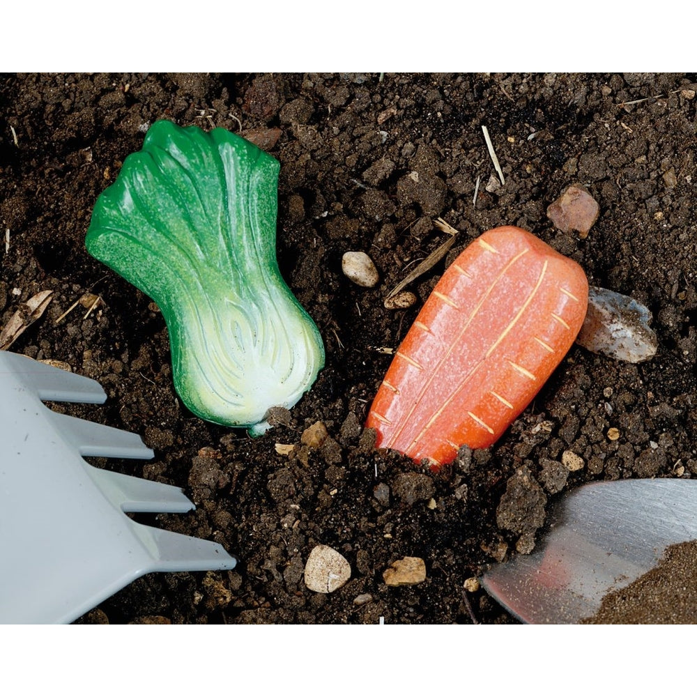 Pierres légumes (lot/8)