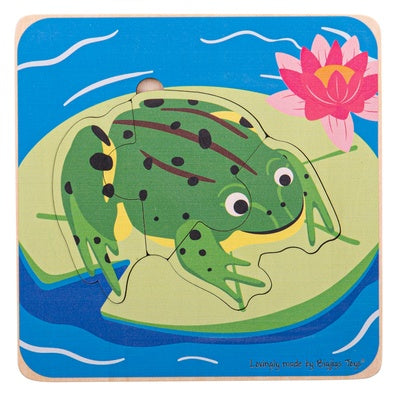 Puzzle sur le cycle de vie de la grenouille