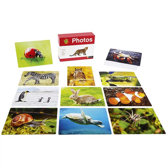 Imagier photos - Les animaux