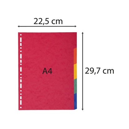 Intercalaires A4 en carton épais - 5 positions