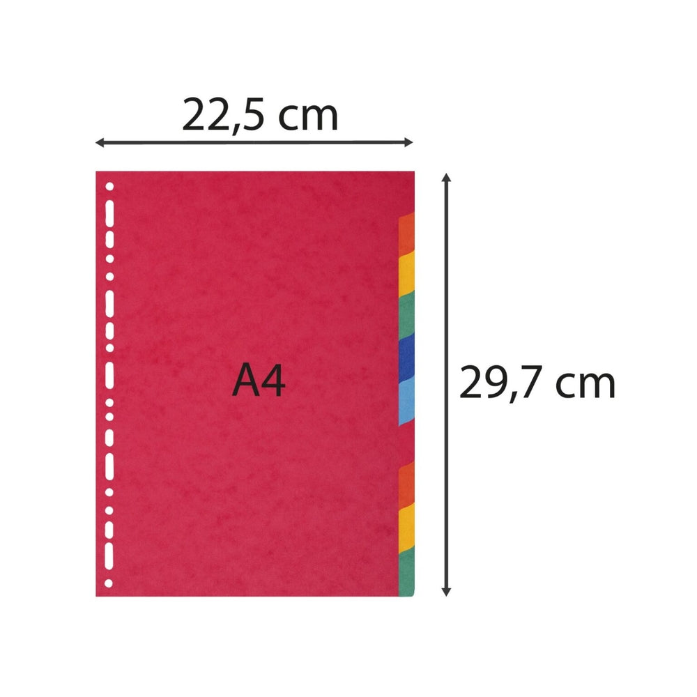 Intercalaires A4 en carton épais - 10 positions
