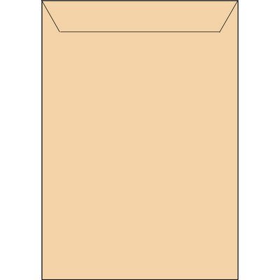Enveloppes kraft autocollantes C3 115 g/m², boîte de 125