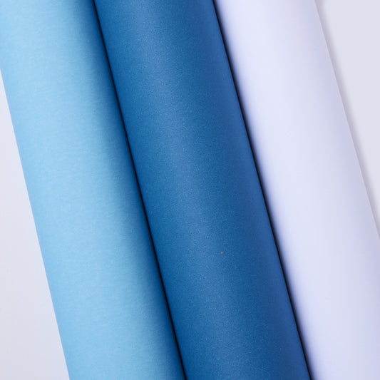 Rouleaux de papier affiche 760 mm x 10 m (lot/3) - hiver