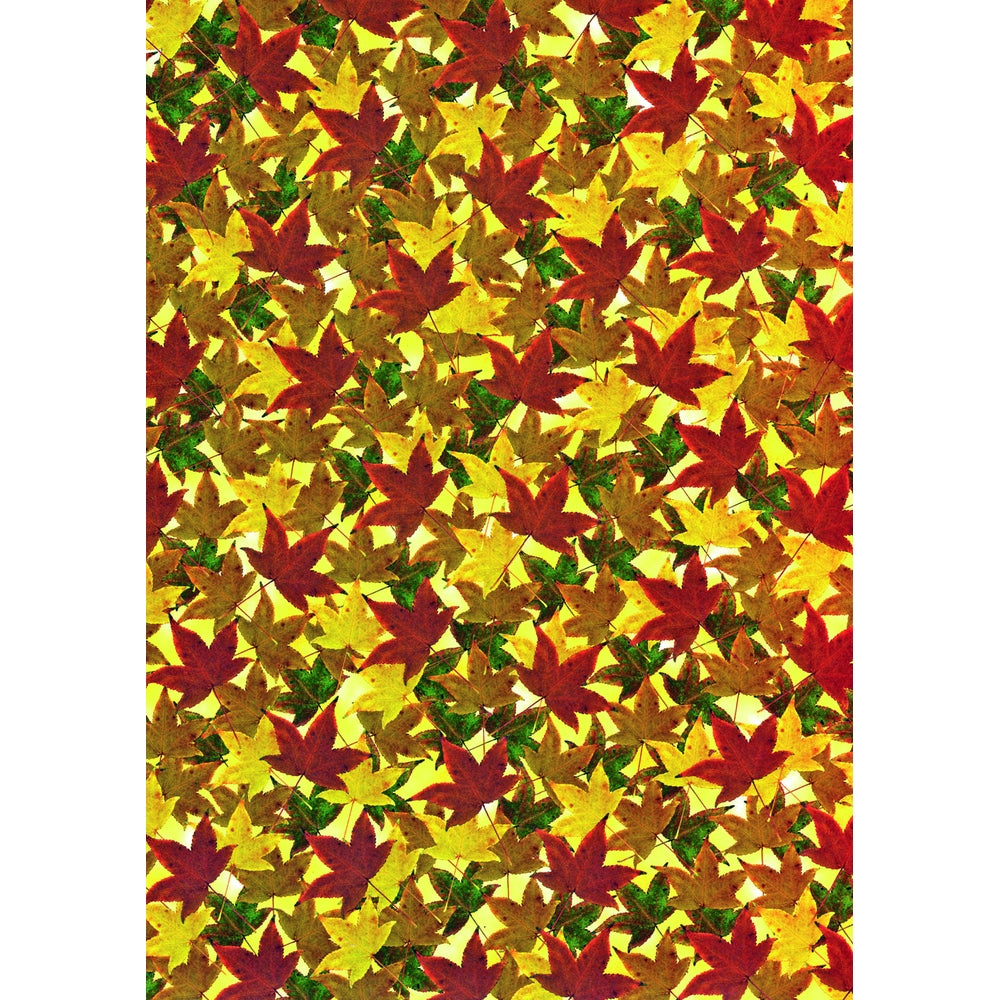 Papier A4 Texturisé Nature (lot/40)