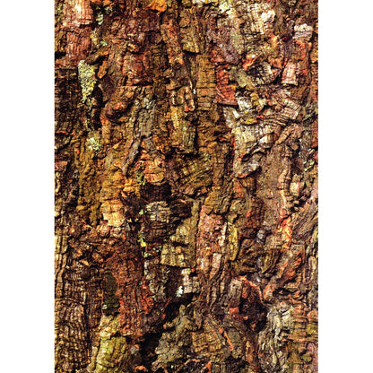 Papier A4 Texturisé Nature (lot/40)