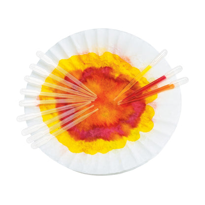 Pipettes à peinture (lot/12)