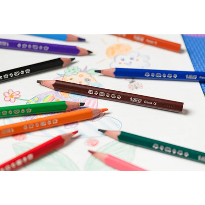 Crayons de couleur BIC Evolution Triangle (lot/216)