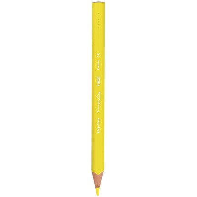 Crayons de couleur BIC Evolution Triangle (lot/216)