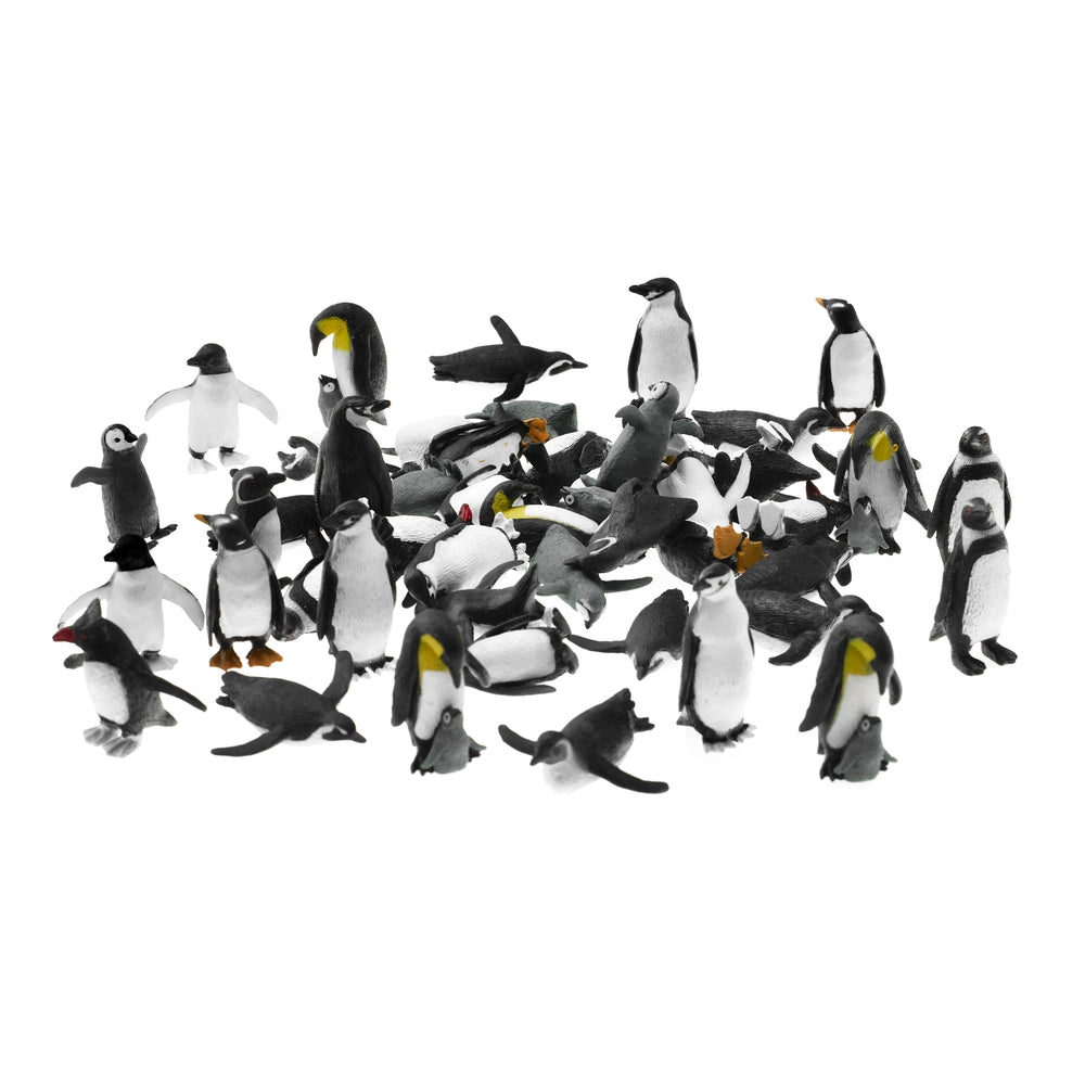 Bac d'exploration sur pieds