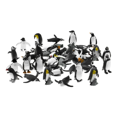 Bac d'exploration sur pieds