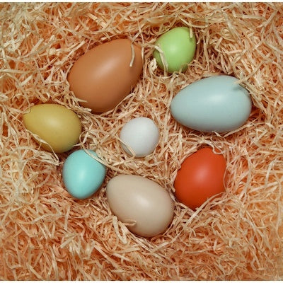 Lot de 8 Œufs à trier par taille