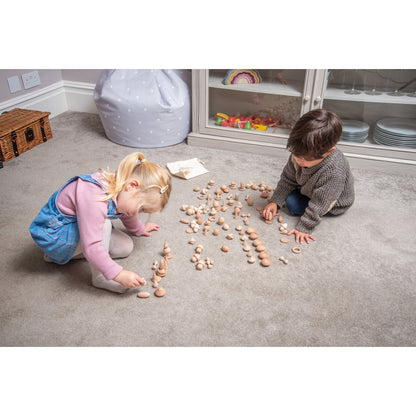 Coffret de trésors naturels en bois