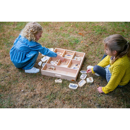 Plateau de tri en bois - 7 compartiments