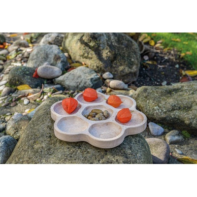 Plateau à fleurs naturelles 6 compartiments