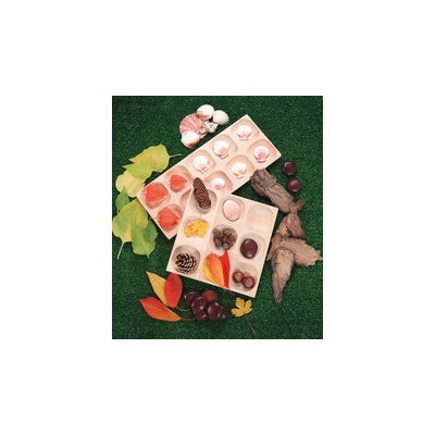 Plateau à 10 cadres