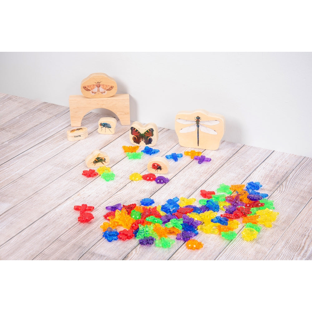 Insectes translucides colorés