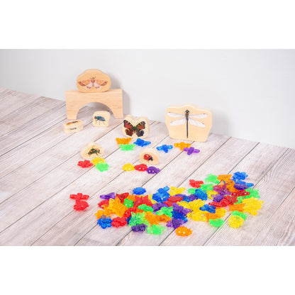 Insectes translucides colorés