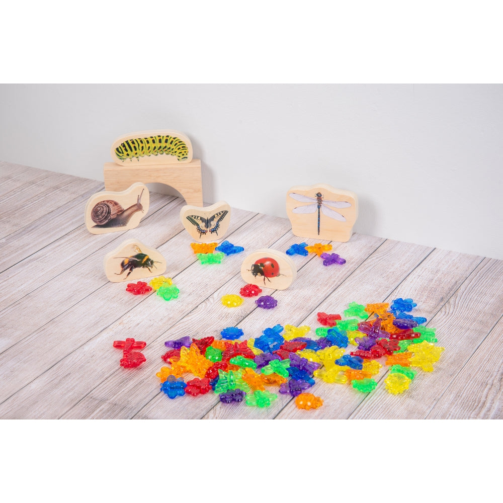 Insectes translucides colorés