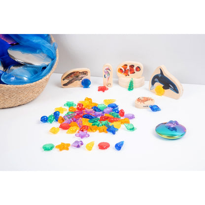 Coquillages translucides colorés (lot/72)
