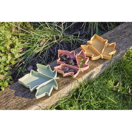 Plateaux de tri - feuilles