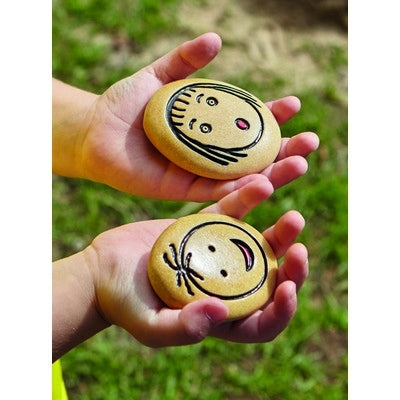 Lot de 6 pierres émosions