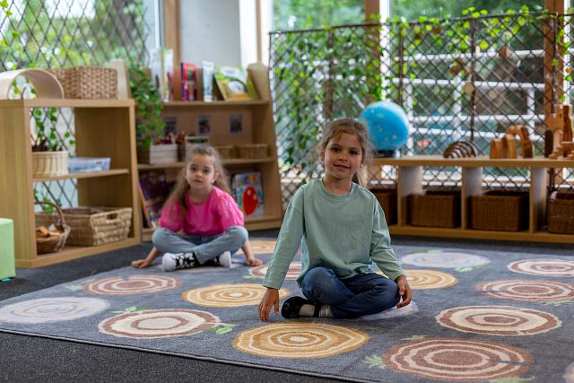 Tapis souches d'arbres