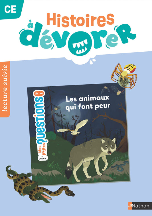 Histoires à dévorer - Fichier d'exploitation CE - Félicie Poucet : Mystère au château d'Ambre