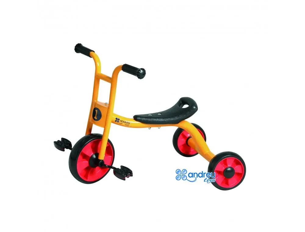 Tricycle Easy Rider Trikes